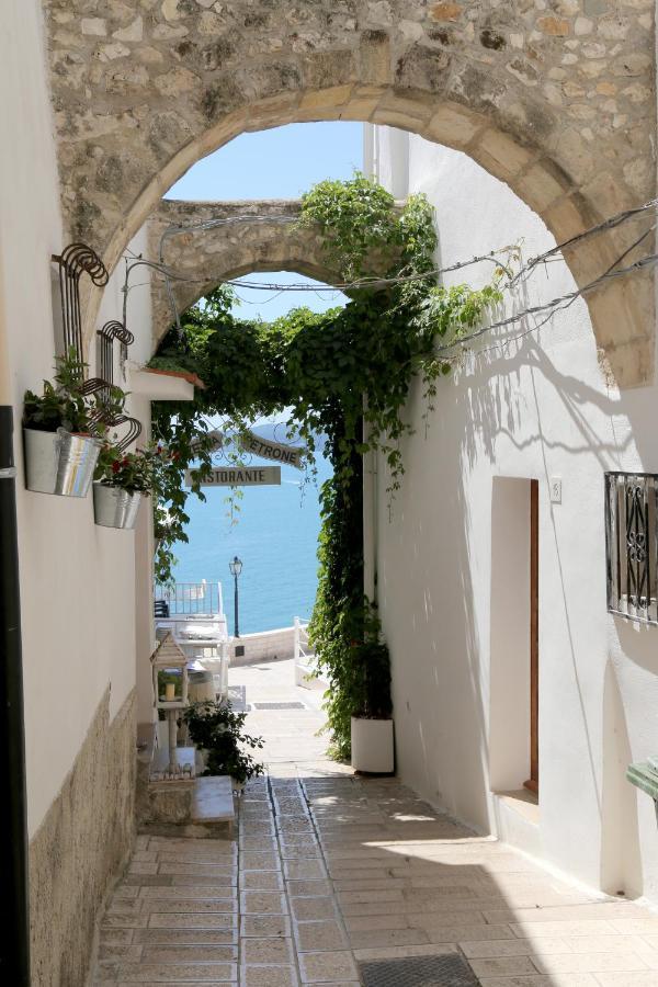 Piazzetta Petrone Apartments + Parking Vieste Eksteriør billede