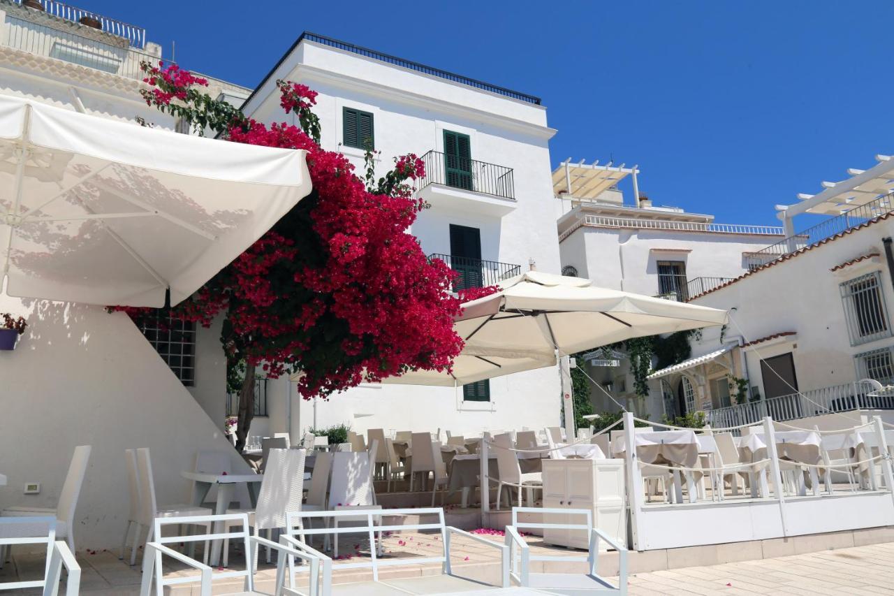 Piazzetta Petrone Apartments + Parking Vieste Eksteriør billede
